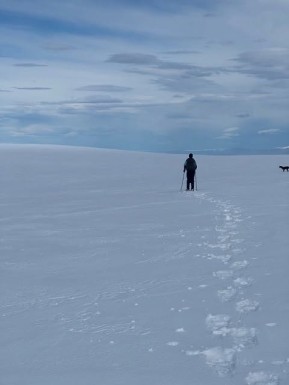 Snowshoeing adventures in the Two Thumb Range last week ❄️🌤️
We made the most of the gaps in spring weather with little top-ups of fresh snow, and Rex Simpson Hut was the perfect cosy base to come back to each evening.
📸 P. Munro
#TwoThumbRange #SnowshoeingNZ #RexSimpsonHut #LakeTekapo #TekapoAdventures #AlpineRecreation - Snowshoeing adventures in the Two Thumb Range last week ❄️🌤️ We made the most of the gaps in spring weather with little top-ups of fresh snow, and Rex Simpson Hut was the perfect cosy base to come back to each evening. 1