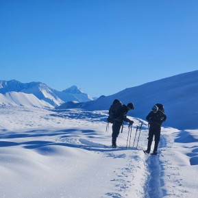 Sometimes the mountains rewrite the plan.
Our Winter Mountaineering Course was originally heading for Caroline Hut, but with more than a metre of fresh snow forecast and avalanche danger climbing rapidly, it was time for Plan B. Rex Simpson Hut became our classroom instead.
Far from being a compromise, the conditions created an incredible opportunity to focus on the skills that matter most when winter throws everything at you. Avalanche awareness and companion rescue, route selection, whiteout navigation, mountain weather, snow shelters, cold weather management, and decision-making all became part of the week.
There were no bluebird summit days this time, but there was no shortage of learning. Experiencing a major winter storm firsthand, adapting to changing conditions, and making safe decisions are all part of becoming a capable mountaineer.
The mountains don’t always give you the trip you planned — but they often give you the lessons you need.
❄️ Over a metre of fresh snow.
🏔️ Real winter conditions.
📍 Countless practical skills to take into the mountains with confidence.
📸 @pablo_borjas
#WinterMountaineering #SnowSkills #AvalancheAwareness #MountainSafety #Snowshoeing - Sometimes the mountains rewrite the plan. 7