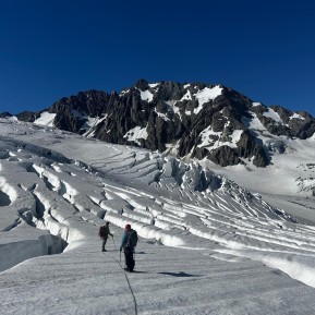 🏔️❄️ Just back from our latest Mount Cook Glaciers Trek — we spent four days deep in the heart of Aoraki / Mount Cook National Park — travelling roped across the Tasman Glacier, weaving through icefalls, crevasses, and exploring surreal blue ice features. This isn’t a quick heli-drop experience… it’s the real deal. 
Days were all about movement and learning — crampons biting into firm snow, ice axes in hand, and building confidence as a rope team navigating crevasses and alpine terrain. Nights were spent high in the mountains at Tasman Saddle Hut, surrounded by New Zealand’s highest peaks and endless snowfields. 
Add in perfect weather, golden sunsets, and that feeling of being completely immersed in the alpine… it doesn’t get much better.
If you’re ready to step beyond tramping and into true glacier travel — this is it.
📸 T. Robertson
🔗 https://alpinerecreation.com/new-zealand-alpine-hikes-trekking-and-snowshoeing/new-zealand-glacier-hikes-and-treks/mount-cook-glaciers-trek
#AorakiMountCook #GlacierTrek #NZAlps #AlpineAdventure #TasmanGlacier - 🏔️❄️ Just back from our latest Mount Cook Glaciers Trek — we spent four days deep in the heart of Aoraki / Mount Cook National Park — travelling roped across the Tasman Glacier, weaving through icefalls, crevasses, and exploring surreal blue ice features. 5
