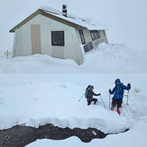 One day, golden tussocks. The next, a winter wonderland.
Our recent trip to Rex Simpson Hut perfectly captured just how quickly the mountains can change. We walked in through sunlit alpine grasslands with barely a patch of snow to be seen, and settled into the hut just as the season’s first major storm arrived… then watched it snow. And snow. And snow.
By morning, the landscape had been completely transformed. Familiar ridges, tarns and tussocks disappeared beneath a blanket of fresh powder, turning the Two Thumb Range into a true winter playground.
There’s now well over a metre of snow at Rex Simpson Hut, with more still falling. Winter has well and truly arrived, and the season is off to an incredible start.
Bring on winter! ❄️🏔️
📸 @biaboucinhas
#Snowshoeing #SkiTouring #RexSimpsonHut #TwoThumbRange #LakeTekapo - One day, golden tussocks. 2