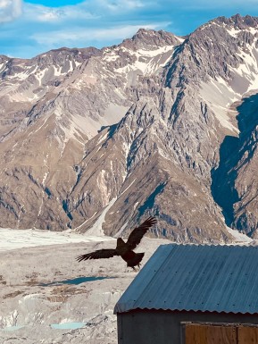 Highlights from our recent Ball Pass Summit Trek.
Thanks Amy Carroll for sharing your pics with us 🫶
#BallPassSummitTrek #CarolineHut #AlpineTrekking #MountainHiking #SouthernAlps #NZMountains #AorakiMountCook #Mountaineering #NZMGA #AlpineRecreation - Highlights from our recent Ball Pass Summit Trek. 3