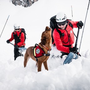 We’re excited to be partnering with Mountain Adventure, united by shared values and a deep love for the mountains. We believe the best alpine experiences are grounded in strong skills, good decisions and gear you can rely on. Working with Mountain Adventure means we’re supported by a New Zealand distributor who represents some of the most respected names in alpinism and is known for its genuine connection to the outdoor community, its depth of knowledge, and its commitment to quality and sustainability.
Through this partnership we’re proud to work with La Sportiva, a brand synonymous with innovation and mountain heritage, Grivel, whose craftsmanship has shaped the history of alpinism for generations, and Ortovox, a global leader in safety, responsibility and education in the alpine world.
Having a partner who shares our commitment and invests in the future of the mountain environment allows us to keep focusing on what we care about most: creating inspiring, professional and safe alpine experiences in the Southern Alps.
#alpinerecreation #mountainadventure #lasportiva #grivel #ortovox - We’re excited to be partnering with Mountain Adventure, united by shared values and a deep love for the mountains. 5