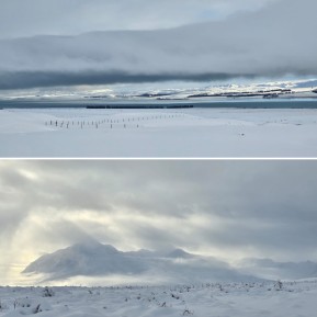 Stunning photos from guide @biaboucinhas from the hike out from Rex Simpson Hut 2 days ago — so much snow!!
What normally takes 3 hours, took 9 as they had to dig their way through waist deep snow drifts ❄️❄️❄️
#TekapoSnow #RexSimpsonHut #WinterIsHere #Snowshoeing #WinterAdventures - Stunning photos from guide @biaboucinhas from the hike out from Rex Simpson Hut 2 days ago — so much snow!! 7