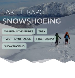 ❄️ Step into winter. Slow it down. Explore more.
Snowshoeing is one of the easiest (and most rewarding) ways to experience the Southern Alps in winter — no skiing skills required, just a sense of adventure. From first-timers to seasoned trampers, it’s a chance to wander through a true alpine wonderland at your own pace. 
Whether you’re heading into the Two Thumb Range, Cass Valley or Aoraki / Mount Cook, our guided snowshoe hikes take you far beyond the crowds — into quiet valleys, snowy ridgelines, and unforgettable mountain views. 
🏔️ Why join a snowshoe hike?
• Beginner-friendly options — no prior experience needed
• All equipment provided (snowshoes, boots, avalanche safety gear) 
• Stay in warm, private mountain huts with fires and epic views
• Small groups, experienced guides, and everything taken care of
✨ Perfect for families these school holidays
Snowshoeing is a fun, accessible way to introduce kids (and non-skiers) to the mountains. Think snow play, cosy huts, and big alpine scenery — without the need for lift passes or technical skills. We can organise a bespoke adventure for your family — just ask us!
From gentle high-country adventures near Lake Tekapo to bigger alpine journeys at Aoraki / Mount Cook, there’s a trip to match your pace and experience. 
❄️ Winter is calling — come explore it with us.
🔗 https://alpinerecreation.com/new-zealand-alpine-hikes-trekking-and-snowshoeing/the-best-snowshoe-hikes-and-winter-treks-in-new-zealand
#SnowshoeingNZ #WinterAdventure #FamilyAdventure #SouthernAlps #SchoolHolidaysNZ - ❄️ Step into winter. 1