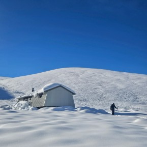 Sometimes the mountains rewrite the plan.
Our Winter Mountaineering Course was originally heading for Caroline Hut, but with more than a metre of fresh snow forecast and avalanche danger climbing rapidly, it was time for Plan B. Rex Simpson Hut became our classroom instead.
Far from being a compromise, the conditions created an incredible opportunity to focus on the skills that matter most when winter throws everything at you. Avalanche awareness and companion rescue, route selection, whiteout navigation, mountain weather, snow shelters, cold weather management, and decision-making all became part of the week.
There were no bluebird summit days this time, but there was no shortage of learning. Experiencing a major winter storm firsthand, adapting to changing conditions, and making safe decisions are all part of becoming a capable mountaineer.
The mountains don’t always give you the trip you planned — but they often give you the lessons you need.
❄️ Over a metre of fresh snow.
🏔️ Real winter conditions.
📍 Countless practical skills to take into the mountains with confidence.
📸 @pablo_borjas
#WinterMountaineering #SnowSkills #AvalancheAwareness #MountainSafety #Snowshoeing - Sometimes the mountains rewrite the plan. 3